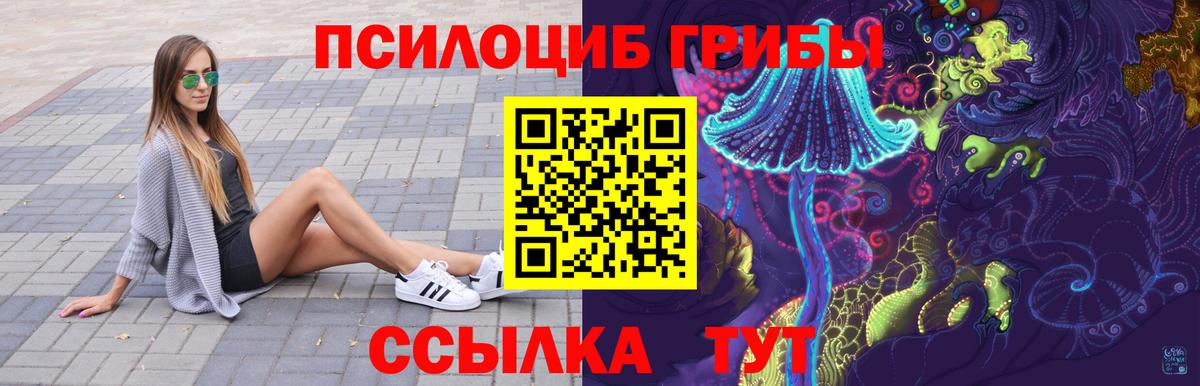 Галлюциногенные грибы GOLDEN TEACHER  Галлюциногенные грибы Magic Shrooms  Вход с VPN  Горно-Алтайск 