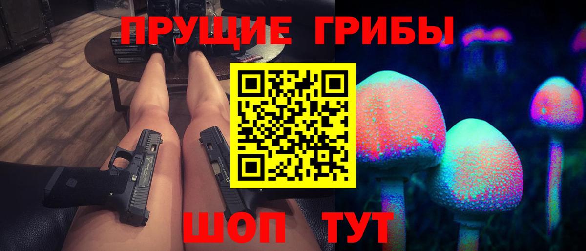 Псилоцибиновые грибы Psilocybine cubensis Горно-Алтайск